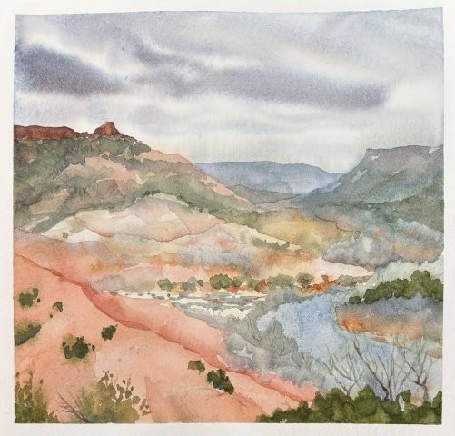 The Coxcomb at Diablo Canyon